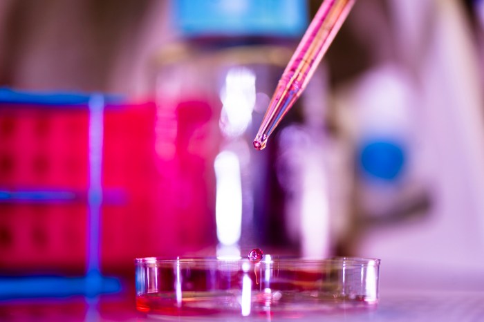 A pipette drips liquid into a petri dish in a lab, with test tubes in a rack in the foreground.