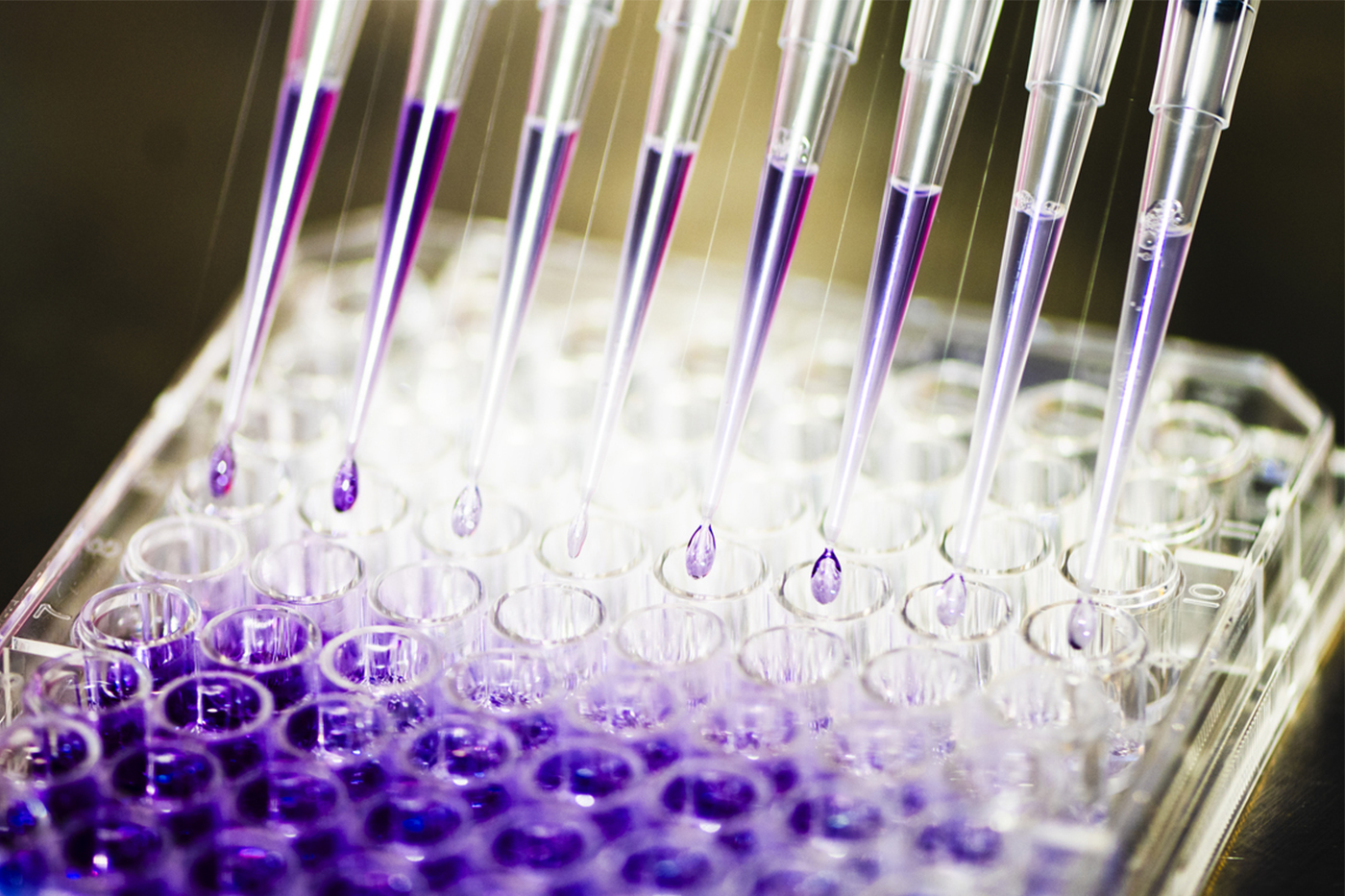 Northeastern students find AI isn’t a cure all for drug discovery