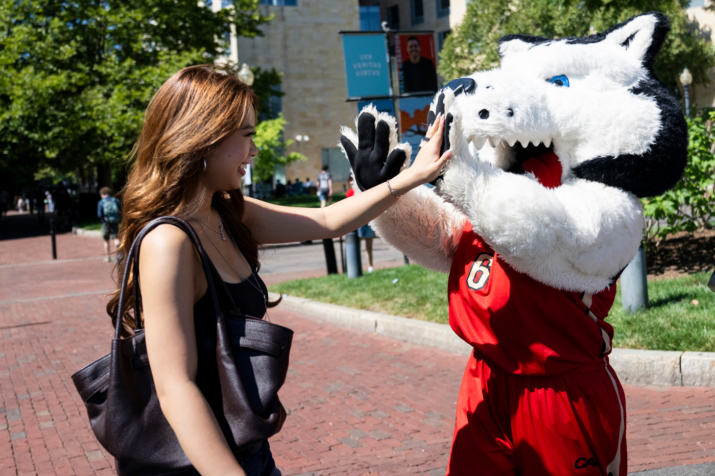 A Northeastern student high-fives Paws, the university’s husky mascot, during Welcome Week on campus.