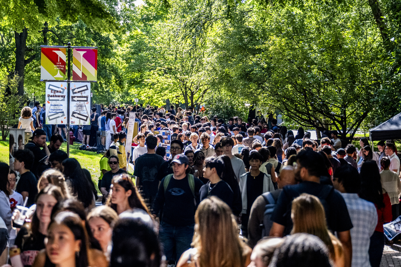 Students walk past club signs among trees during Fall Fest.