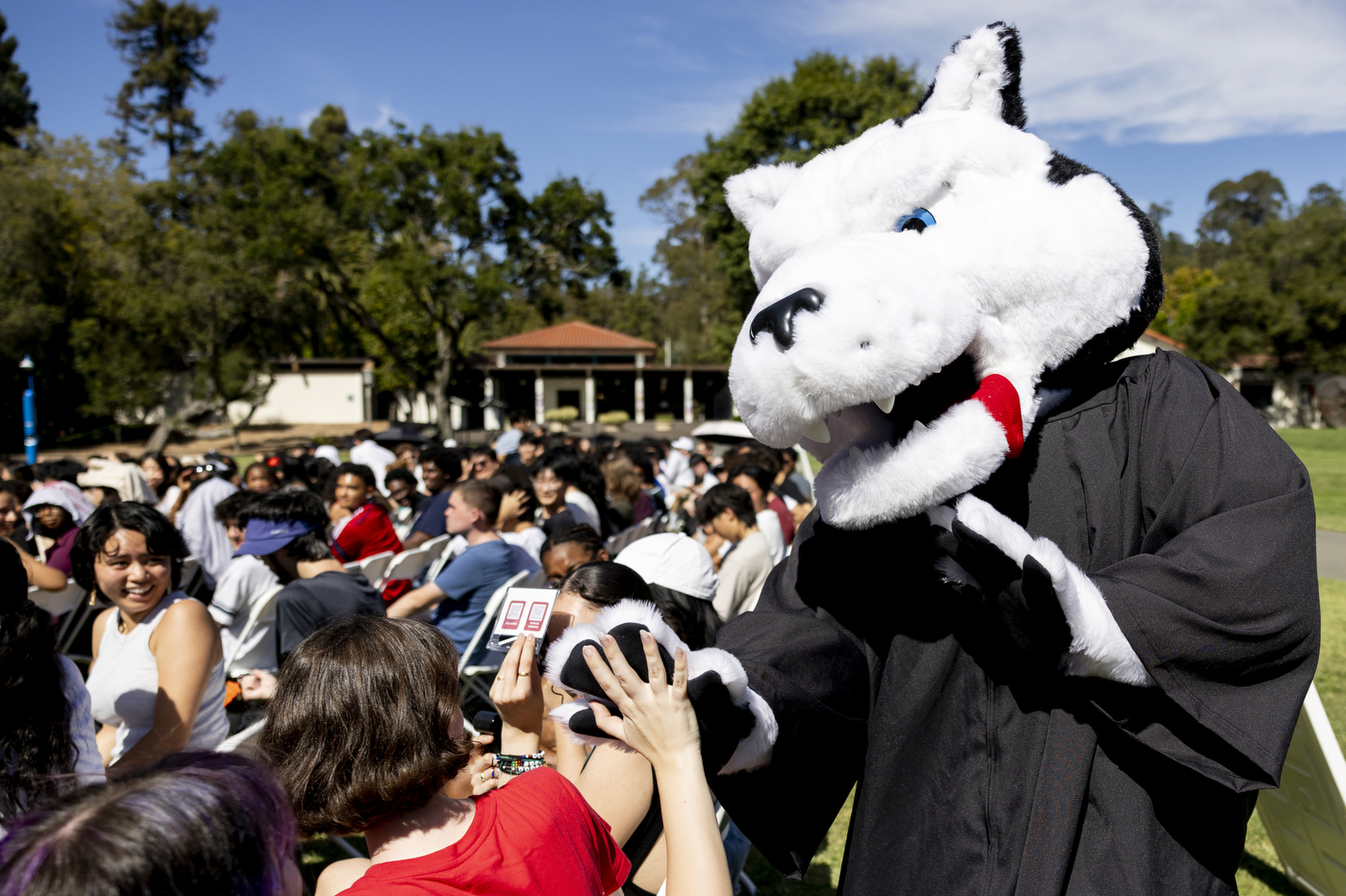 Paws the mascot greets students during the Convocation ceremony on Holmgren Meadow.