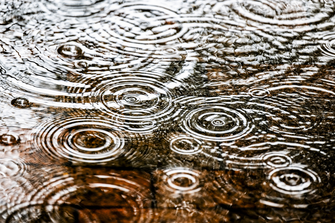 Raindrops falling into a puddle on the ground.