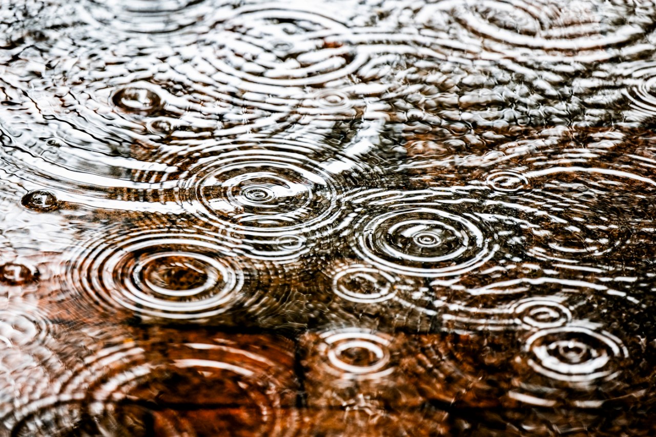 Raindrops falling into a puddle on the ground.