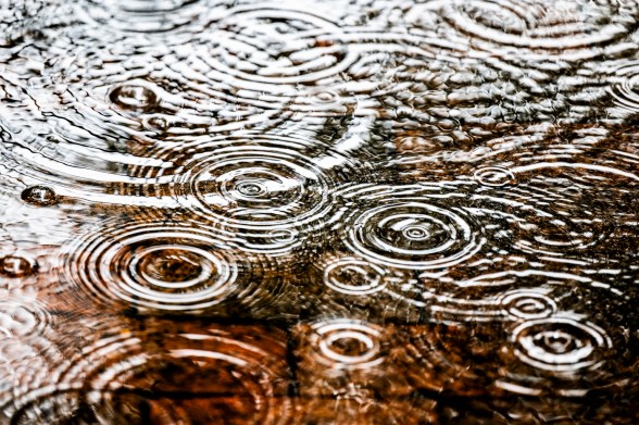 Raindrops falling into a puddle on the ground.