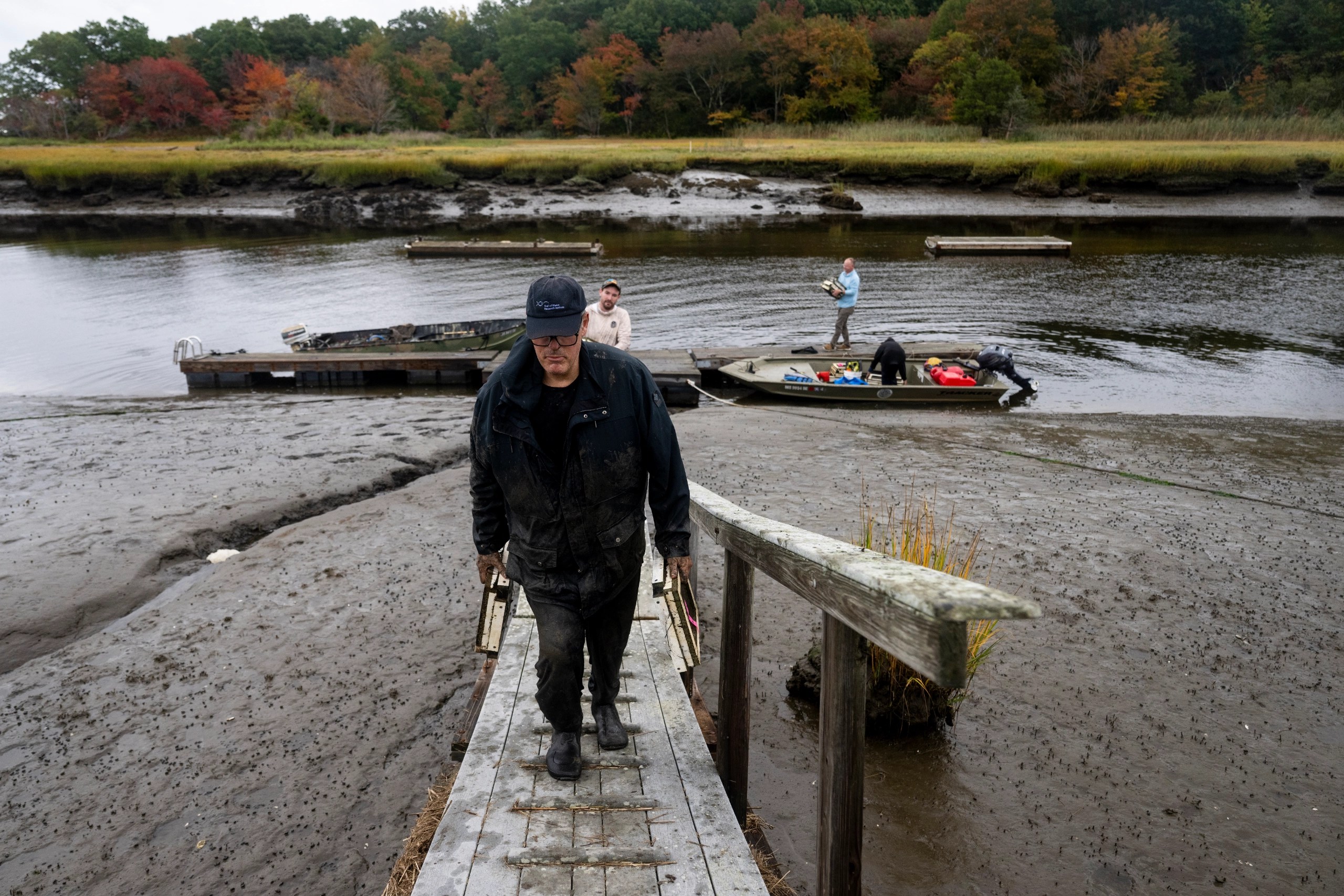 A researcher walks up a boardwalk.