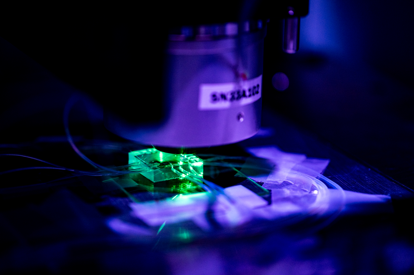 A laboratory microscope positioned over a small, illuminated green sample in a Northeastern University research lab, with purple and blue lighting.