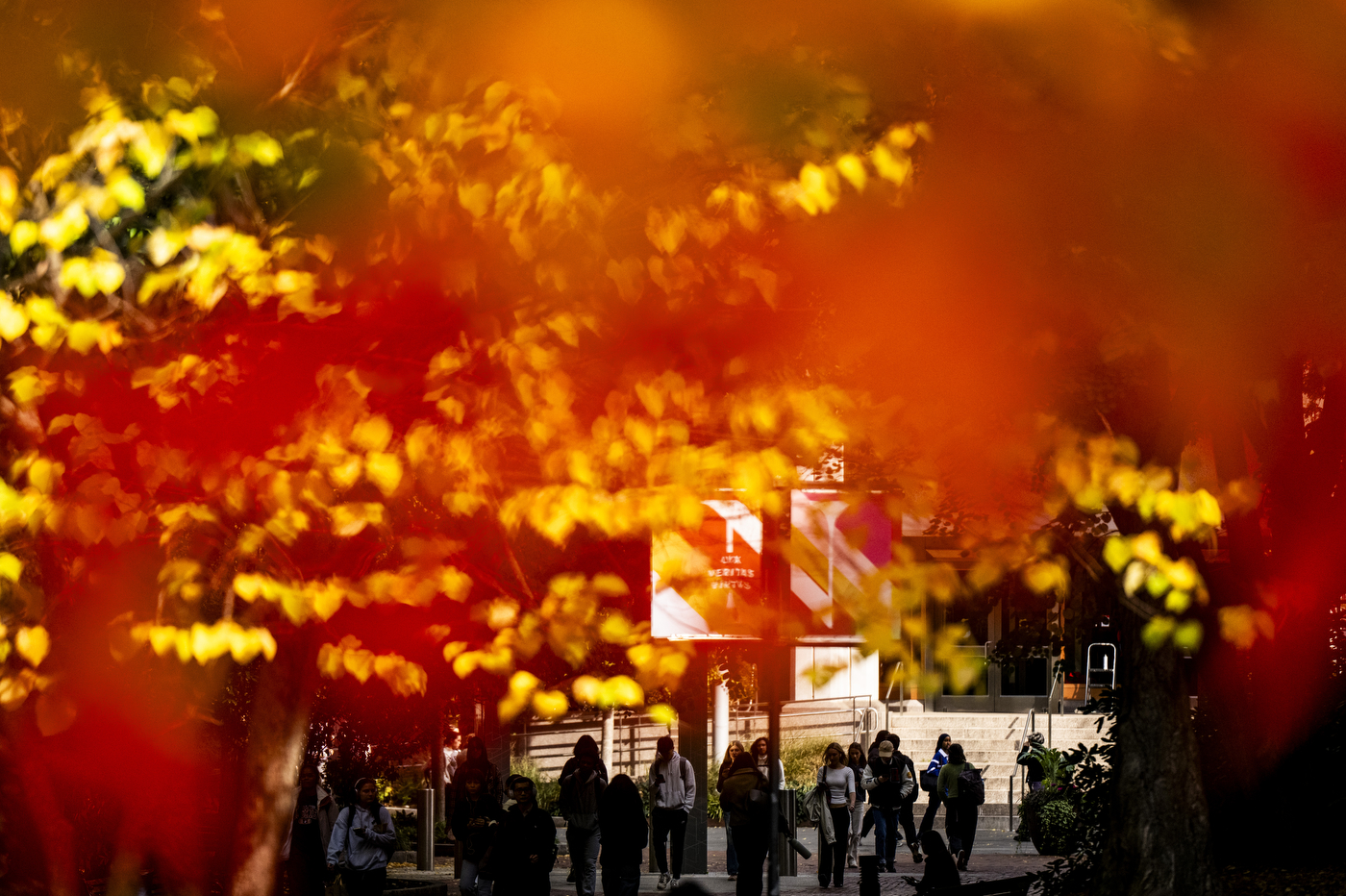The autumn effect