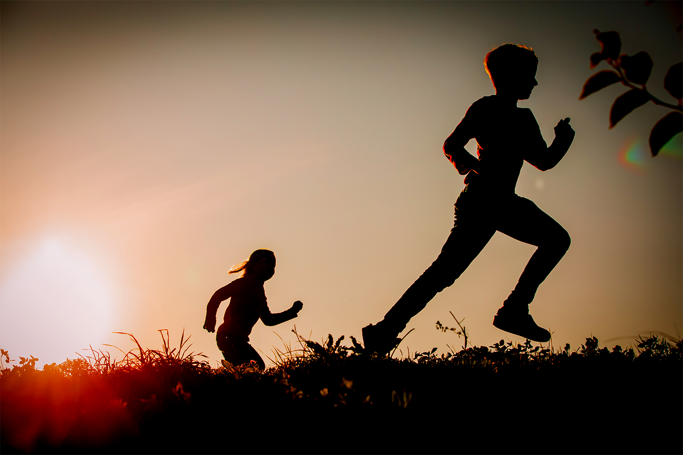 Exercise may sharpen focus through the fight-or-flight system
